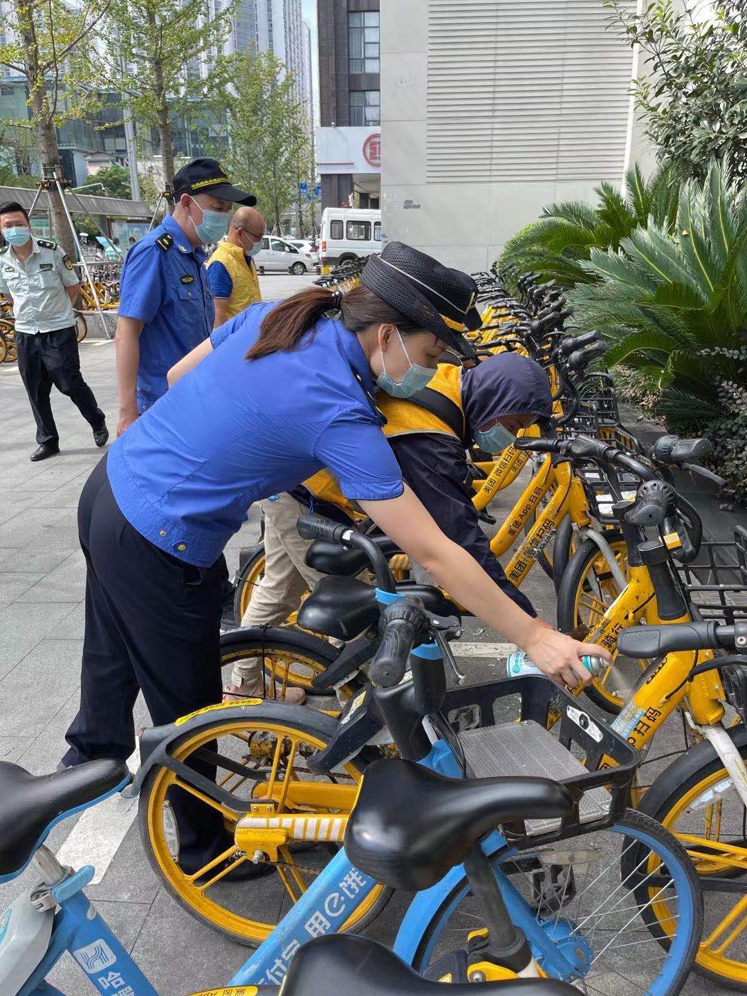 西安网站维护_如何维护网站安全_站群seo我是如何维护上千个网站