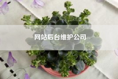 网站的前台和后台维护，以及公司对应的知识点_网站维护资讯_太友帮